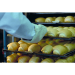 Forno Turbo Eletrico 5 Esteiras FTE150 220V - Gpaniz