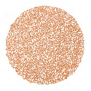 Lugar Americano De Plástico Garden Rosé - Lyor