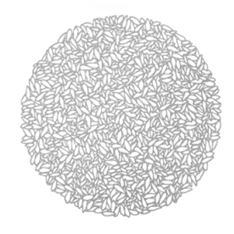 Lugar Americano De Plastico Garden Prateado - Lyor