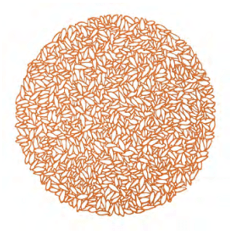 Lugar Americano De Plastico Garden Rose - Lyor